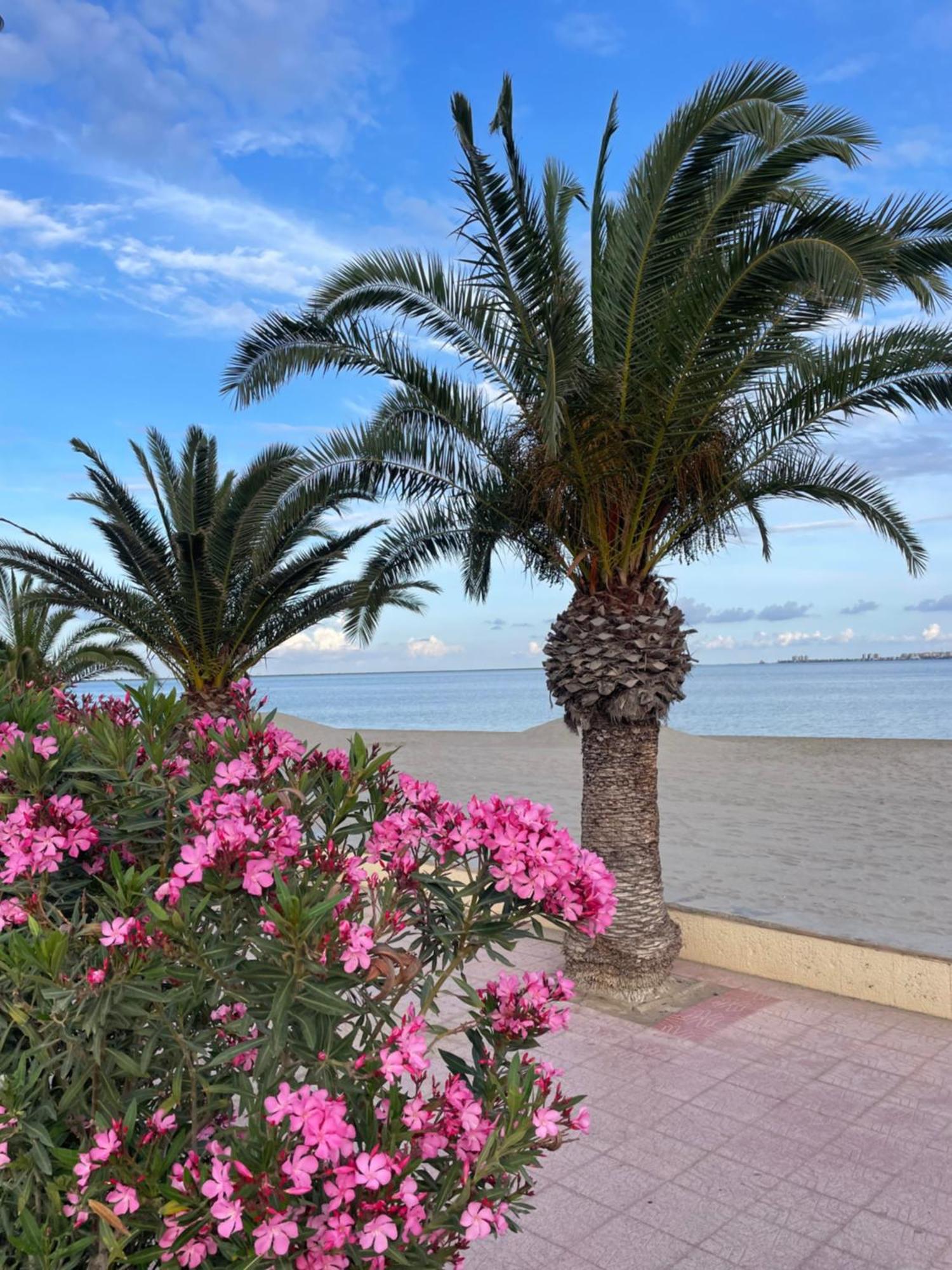 Casa Del Sol - Santiago De La Ribera, San Javier, 600 M From The Beach, Swimming Pool Exterior foto